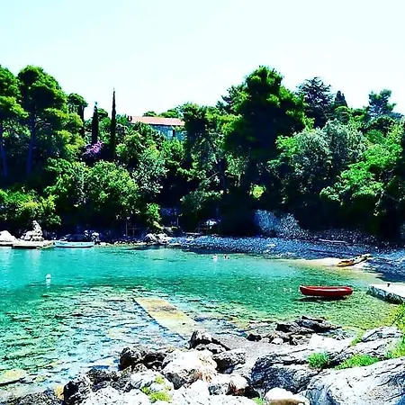 Studio Red Rose * Kolocep Island